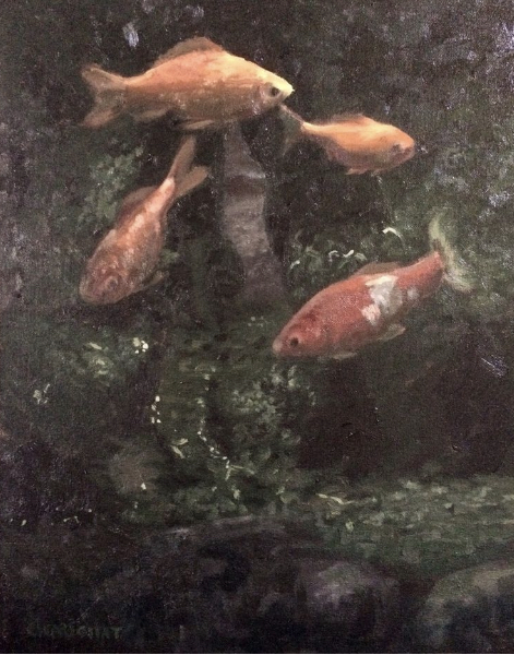 Poissons d’aquarium